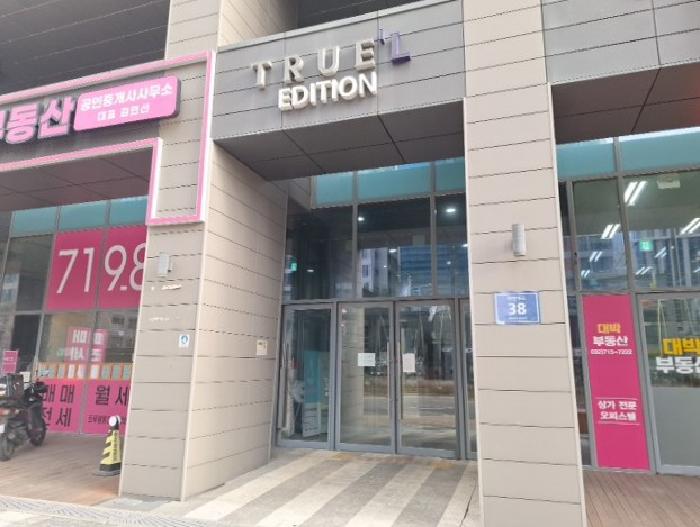 사진 5