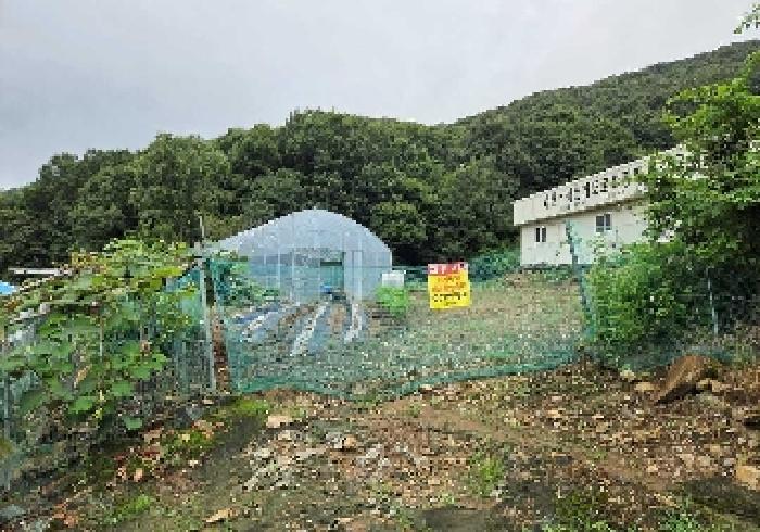 사진 28