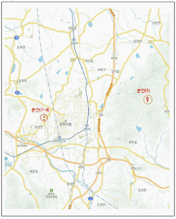 사진 49