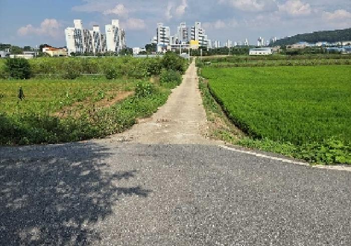 사진 7