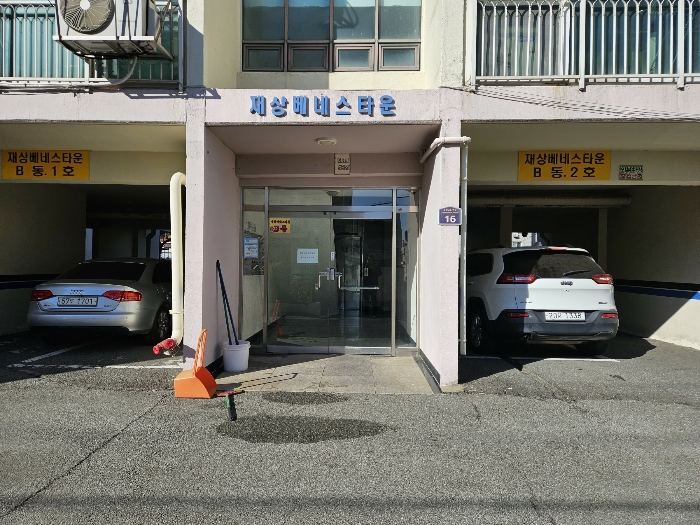 사진 5