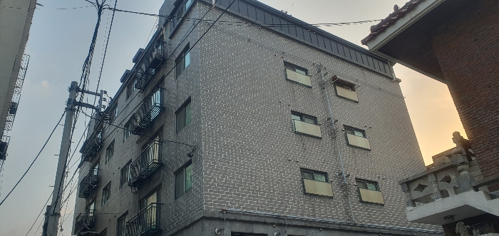 사진 6