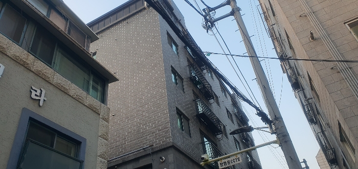 사진 8