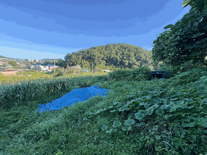 사진 6