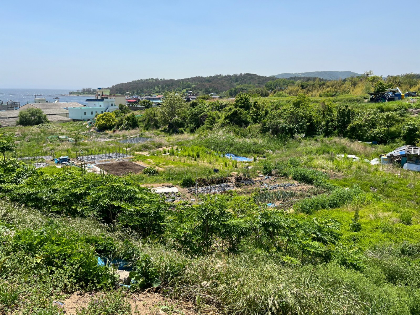 사진 1