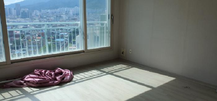 사진 10