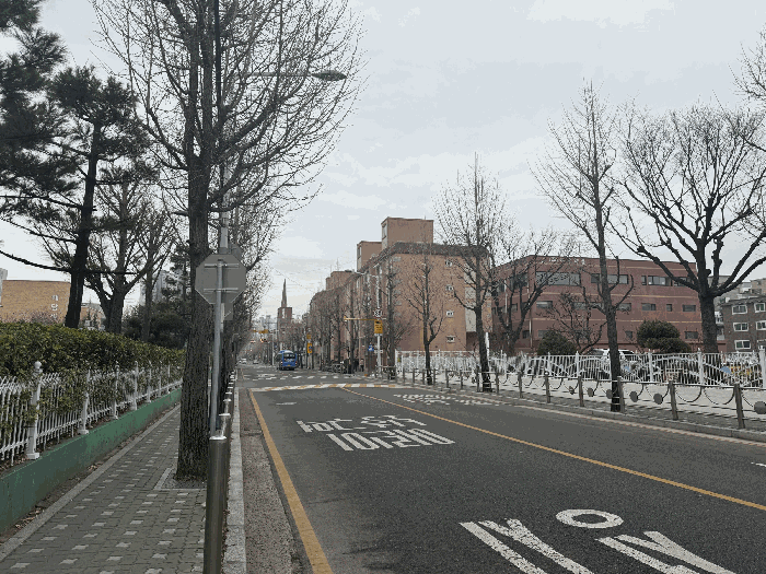 사진 9