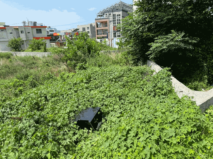 사진 10