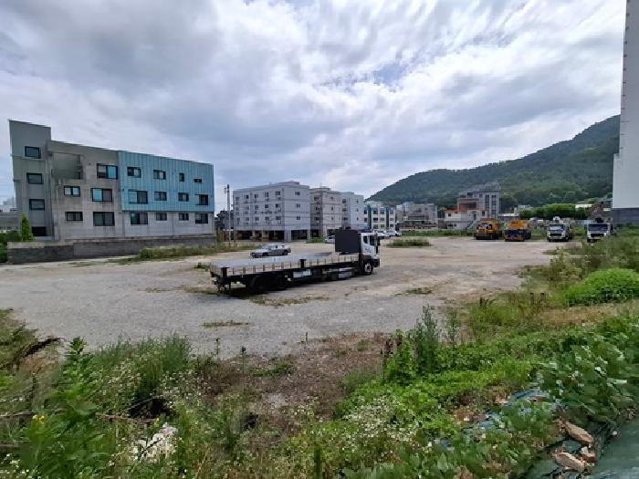 사진 5