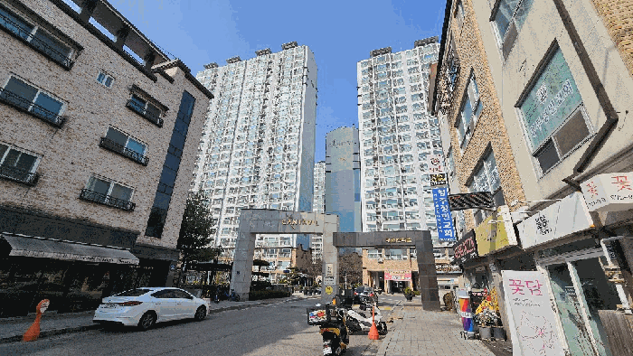 사진 5