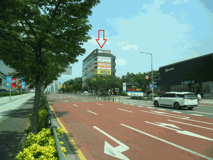 사진 9