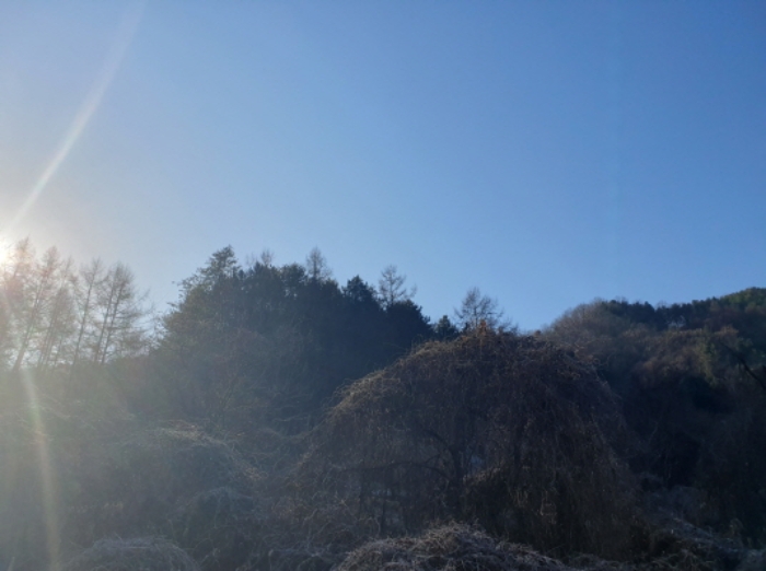 사진 1