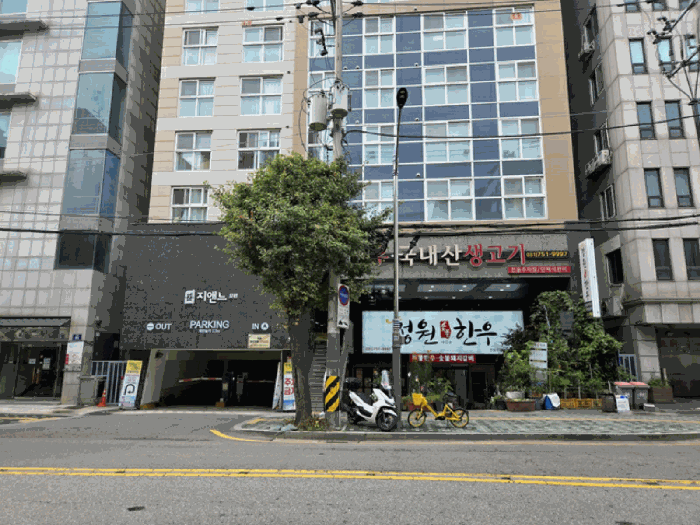 사진 12