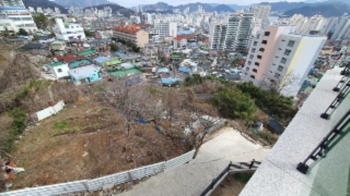 사진 1