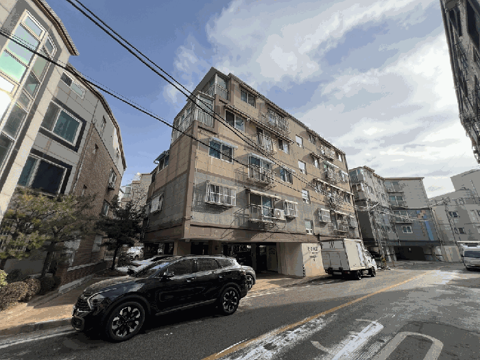 사진 6