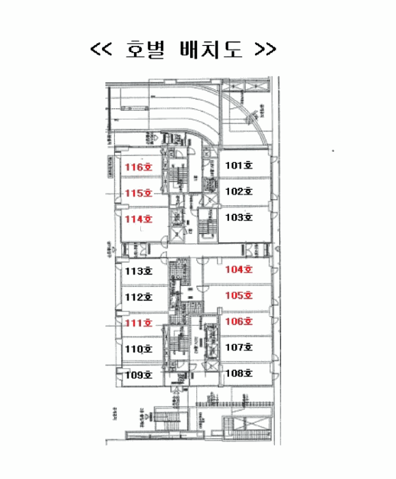 사진 19