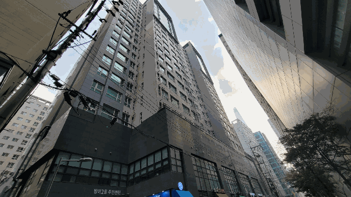 사진 25