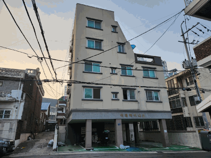 사진 12