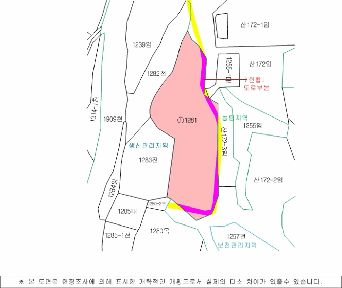 사진 7