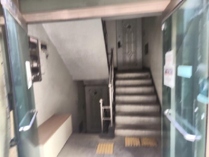 사진 10