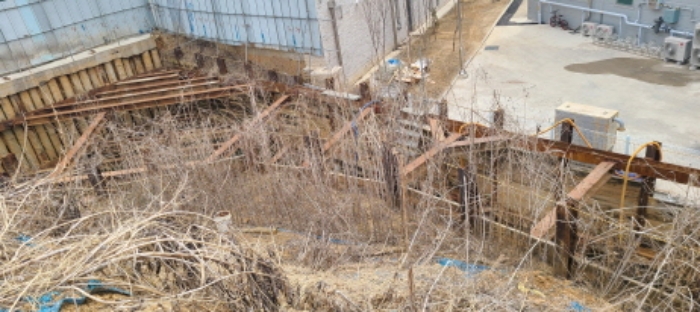 사진 8