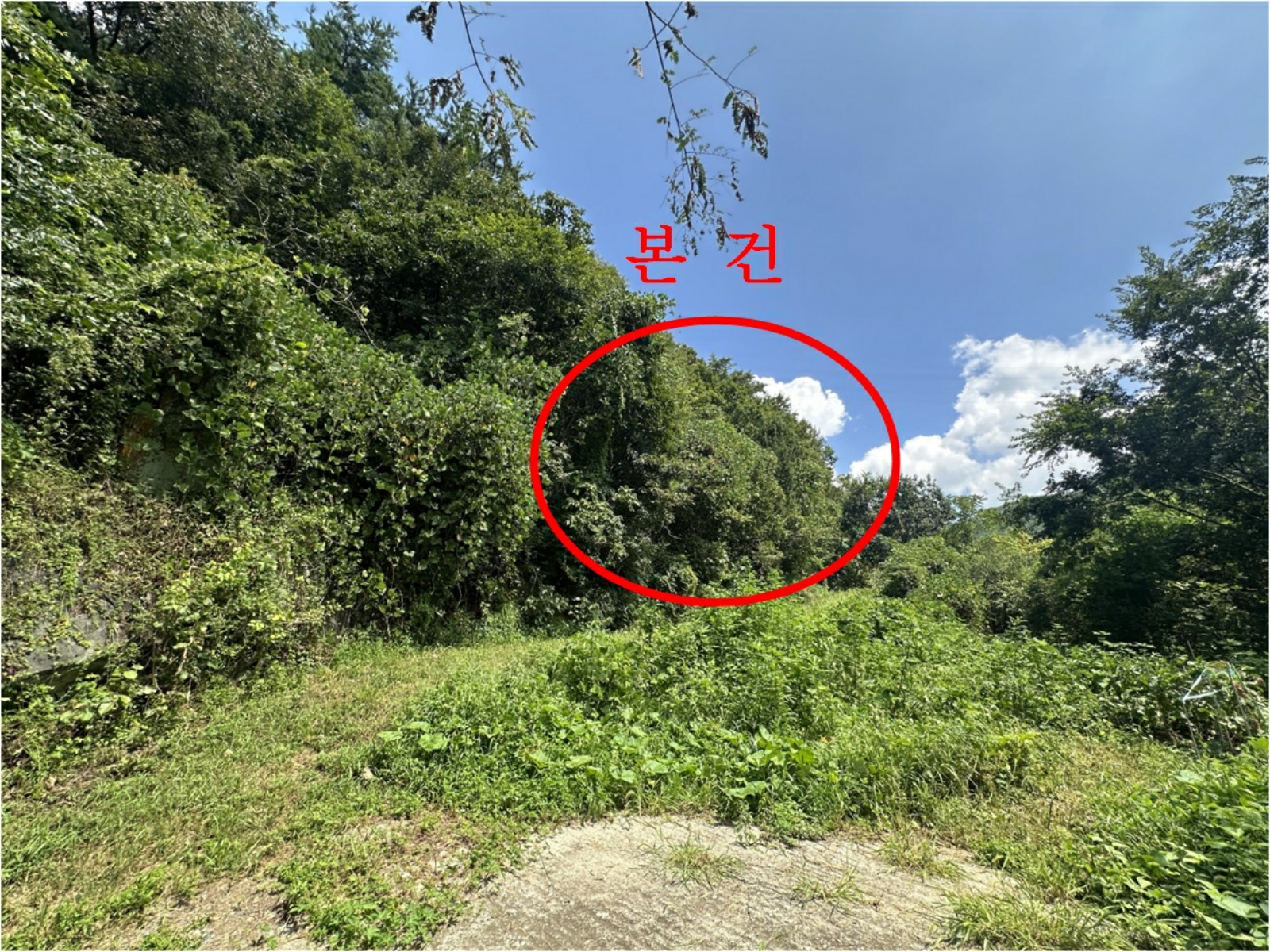 사진 1