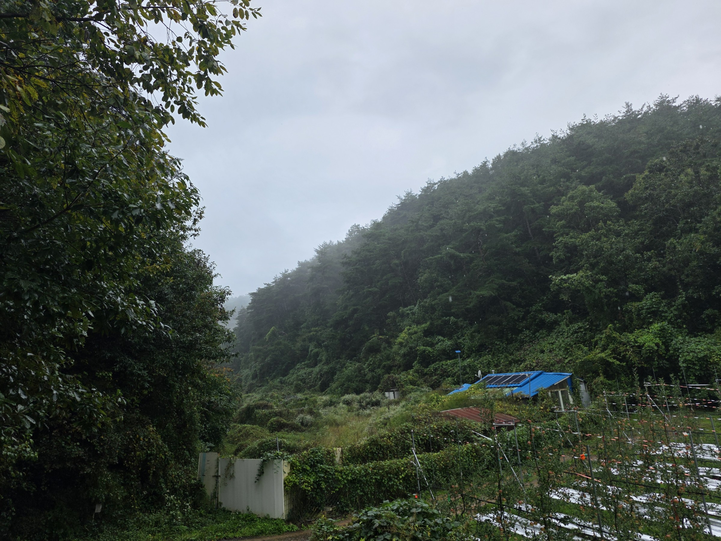 사진 1
