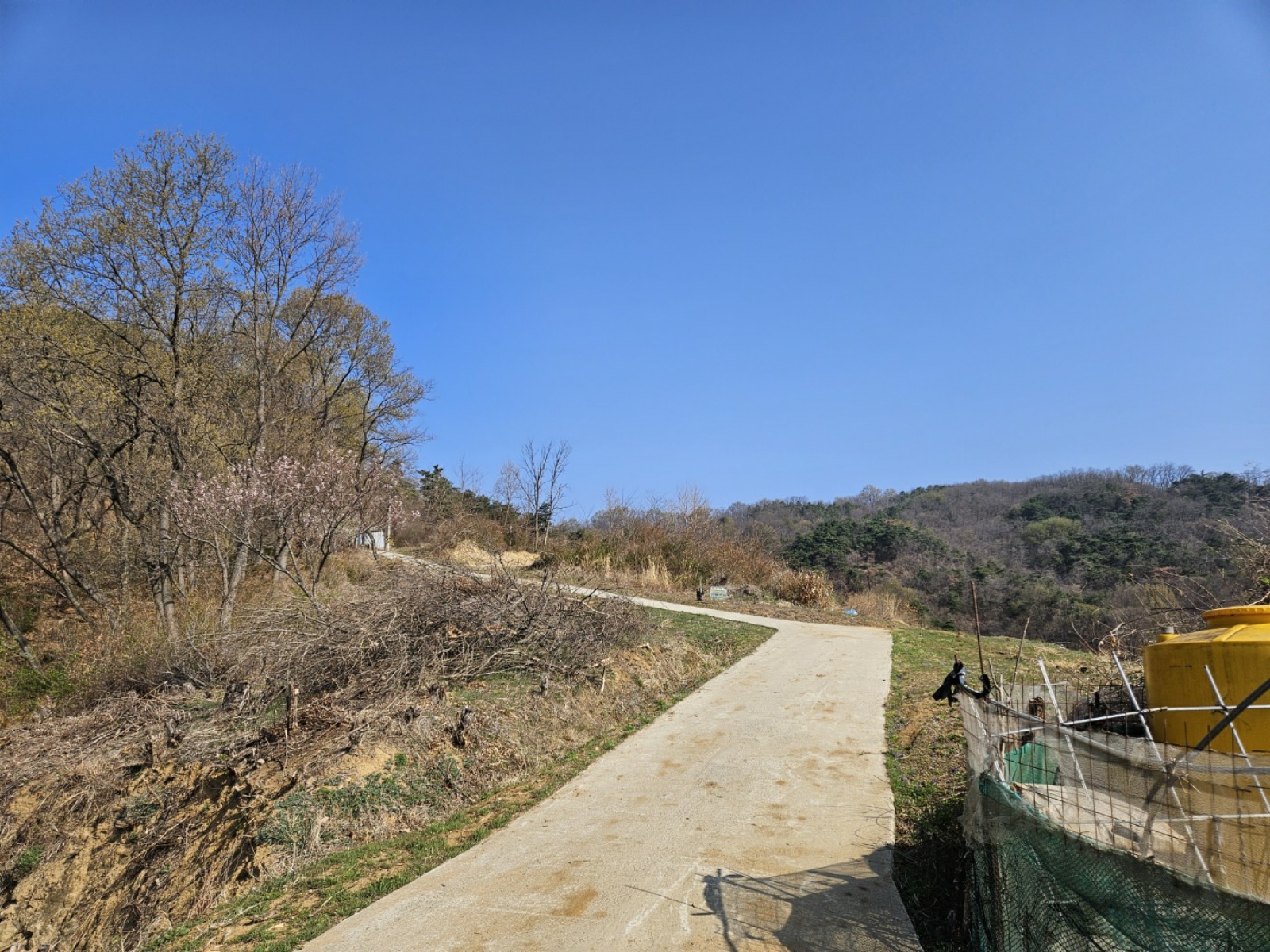 사진 1