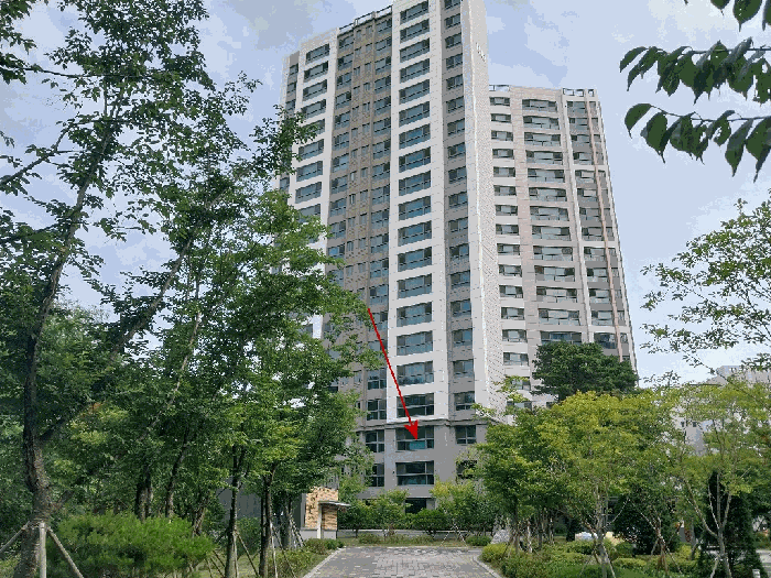사진 1
