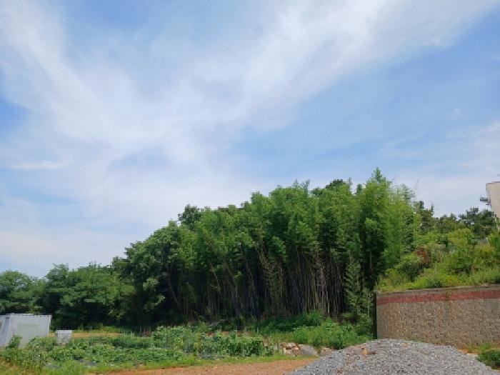 사진 14