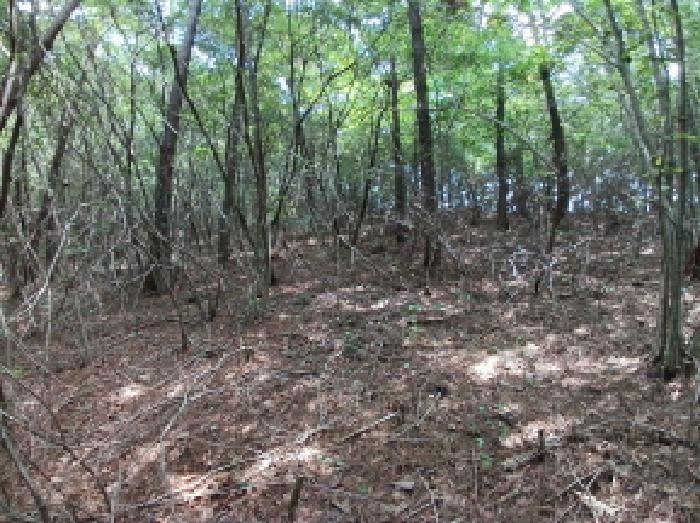 사진 31