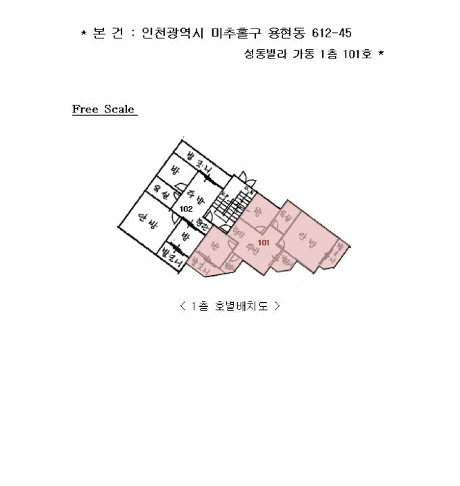 사진 2