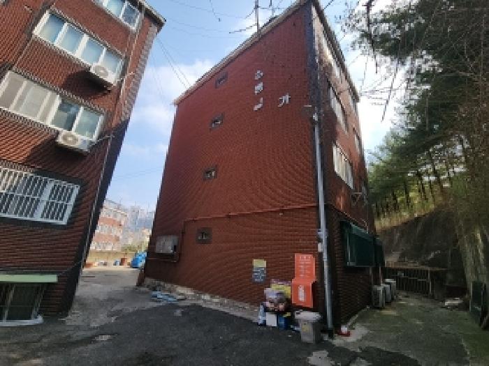 사진 11