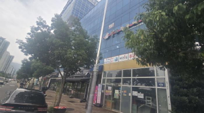 사진 7