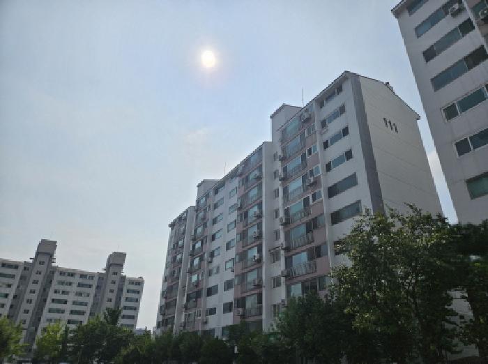 사진 1