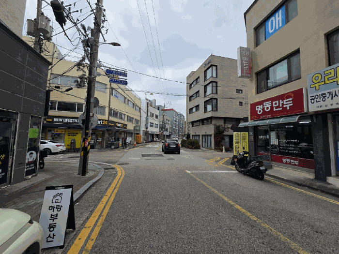 사진 10