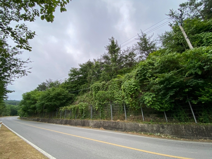 사진 1