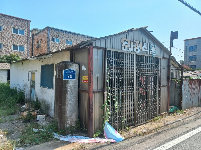 사진 13