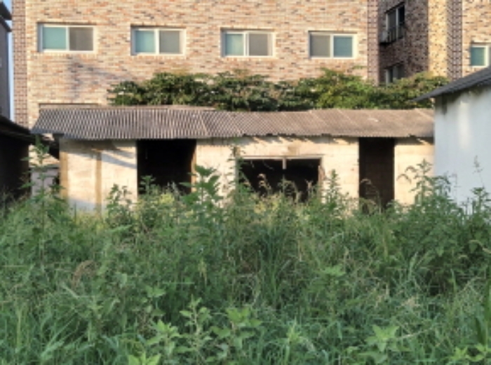 사진 3