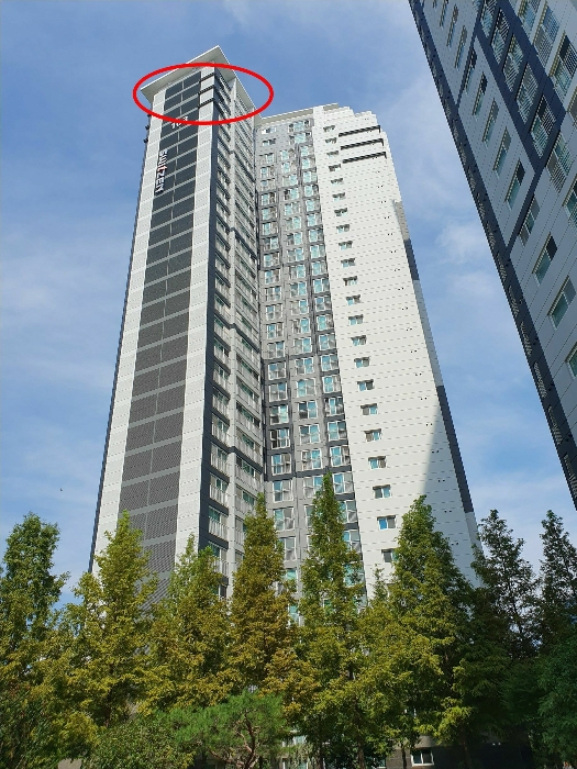 사진 11