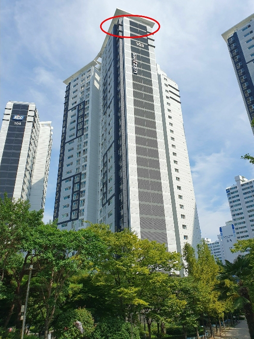 사진 15