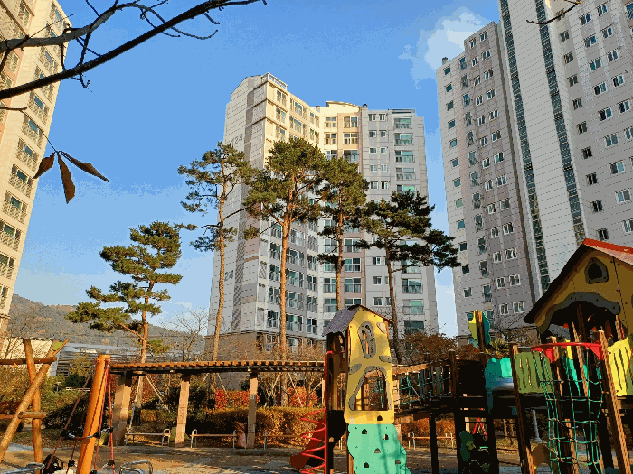 사진 7