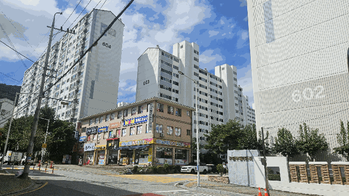 사진 5
