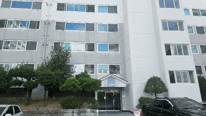 사진 6