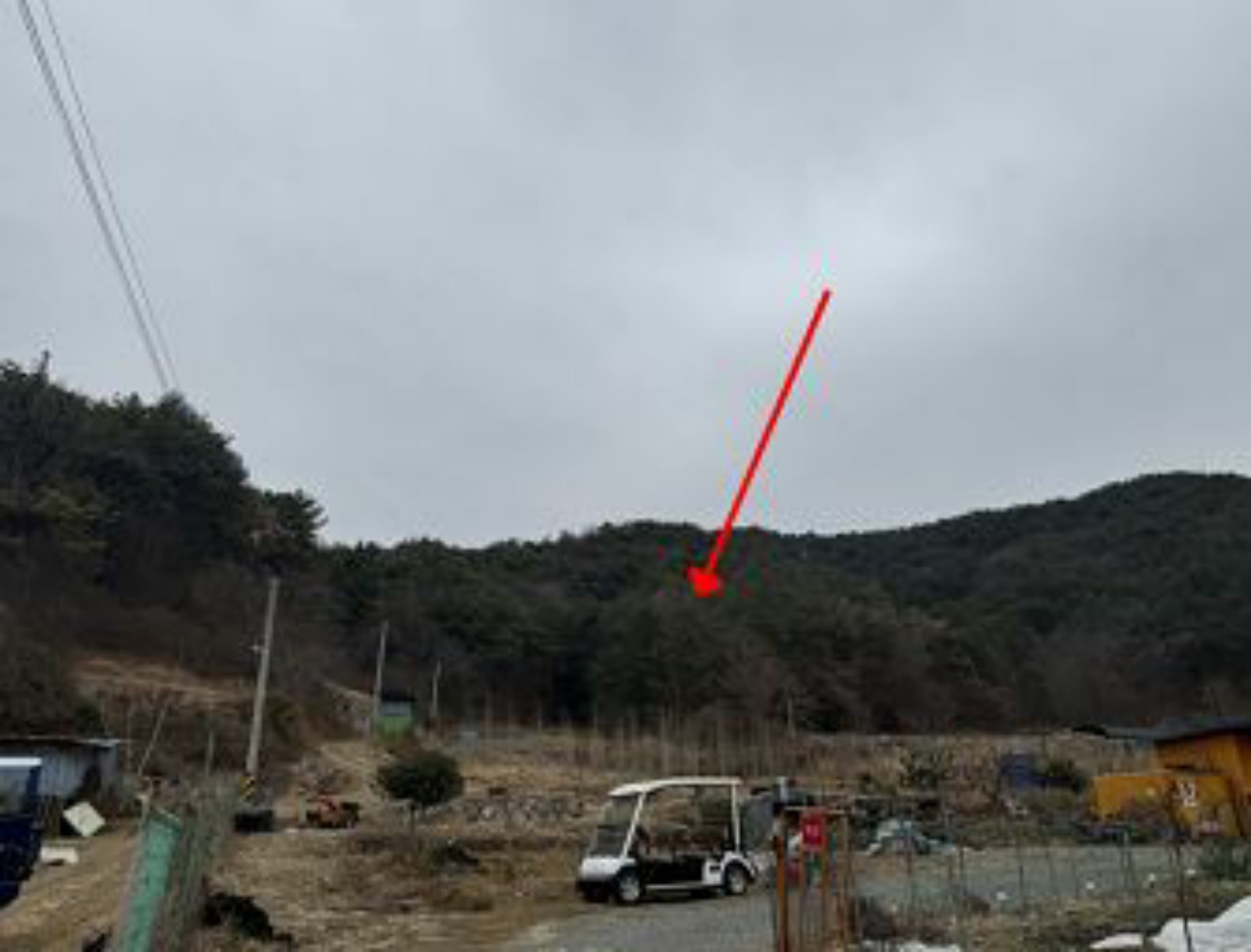 사진 1