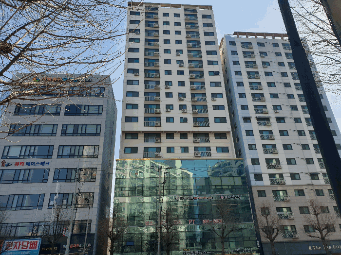 사진 3