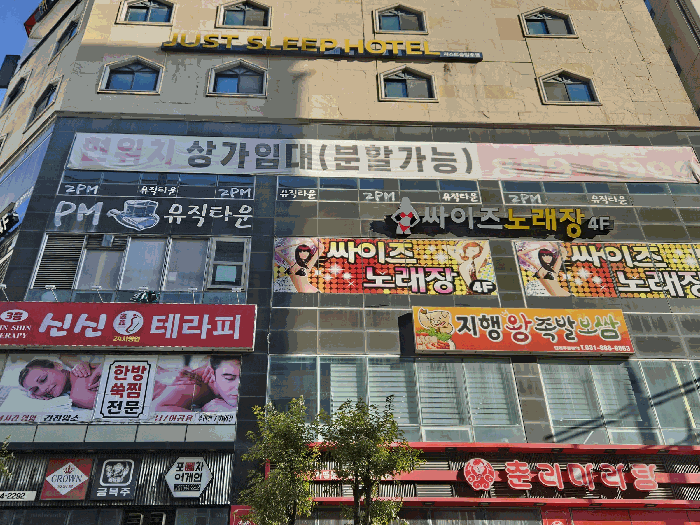 사진 5