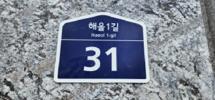 사진 9