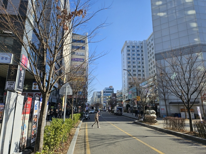 사진 21