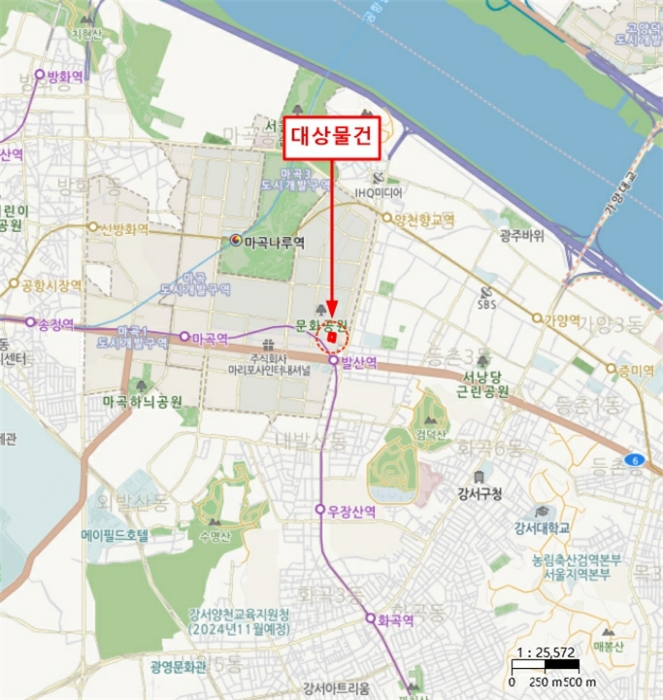 사진 6